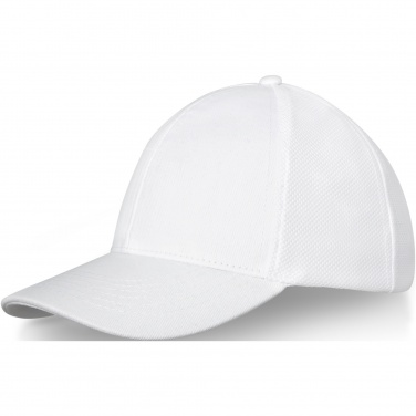 Logotrade werbemittel das Foto: Drake Trucker Kappe mit 6 Segmenten
