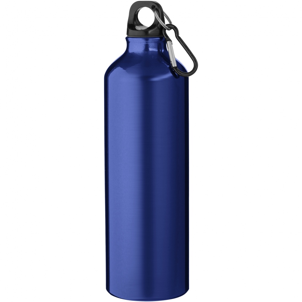 Logo trade promotional giveaway photo of: Oregon 770 ml aluminium water bottle with carabiner