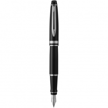 Logotrade promotional gift image of: Waterman Expert fountain pen