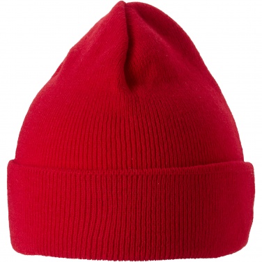 Logotrade promotional merchandise photo of: Irwin beanie