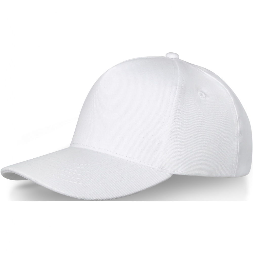 Logotrade promotional giveaway picture of: Doyle 5 panel cap