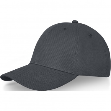 Logo trade promotional giveaway photo of: Davis 6 panel cap