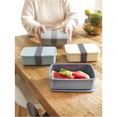 Logo trade promotional items picture of: Dovi recycled plastic lunch box