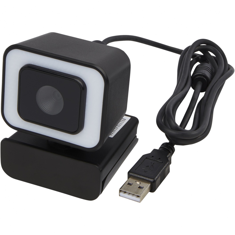 Logotrade promotional product picture of: Hybrid webcam