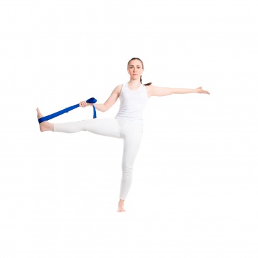Logo trade promotional giveaways picture of: Virabha RPET yoga strap