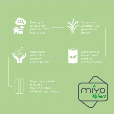 Logo trade promotional products picture of: MIYO Renew single layer lunch box