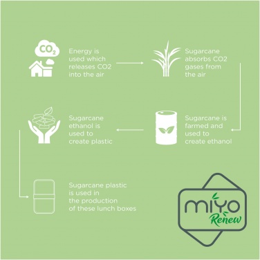 Logo trade promotional items image of: MIYO Renew double layer lunch box