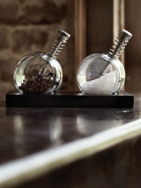 Logotrade promotional item picture of: Planet pepper & salt set