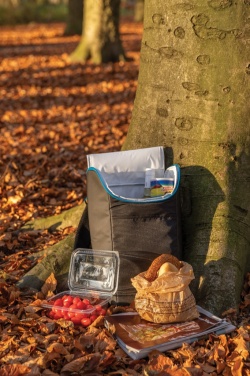Logo trade promotional items picture of: Explorer outdoor cooler backpack