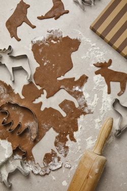 Logotrade promotional merchandise picture of: VINGA Nordic big 5 cookie cutter 5-piece set