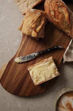 Logotrade promotional gifts photo of: VINGA Gigaro butter knives