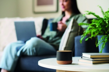 Logotrade promotional merchandise image of: Cork and aluminium speaker