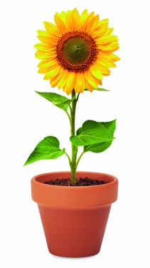 Logotrade corporate gift picture of: Terracotta pot 'sunflower'
