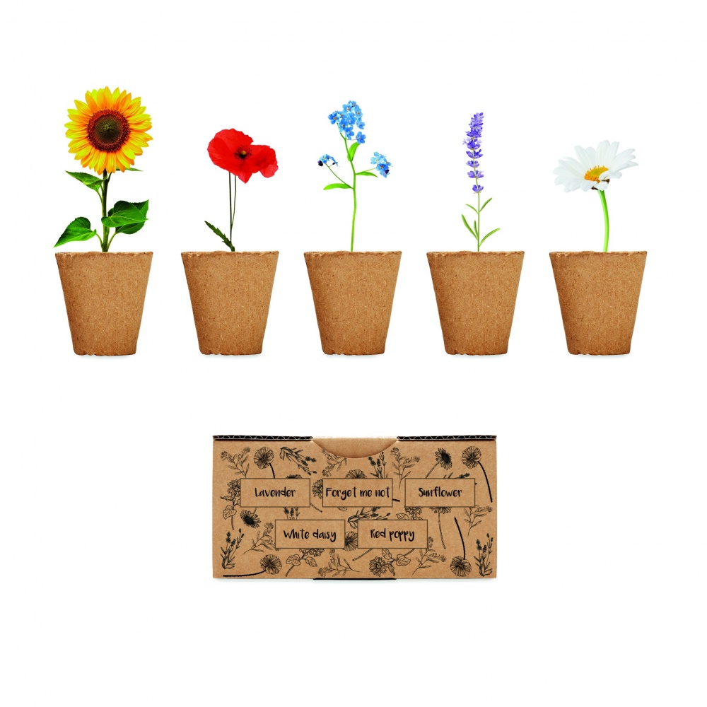 Logotrade corporate gift picture of: Flowers growing kit