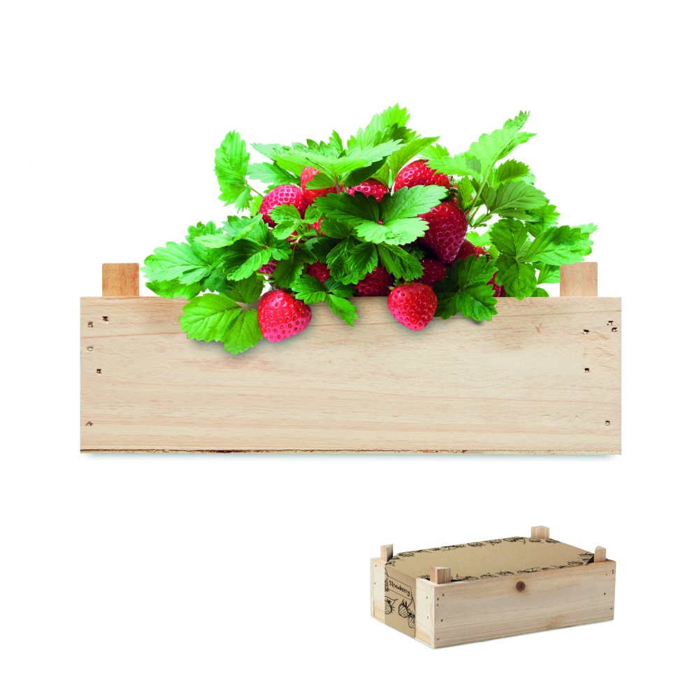 Logo trade business gifts image of: Strawberry kit in wooden crate