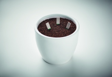 Logo trade promotional products picture of: Herb seeds sticks