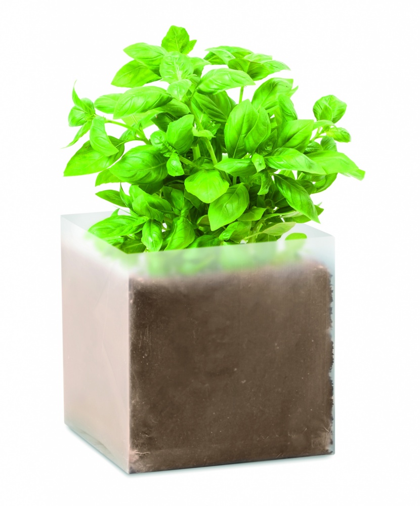 Logotrade promotional merchandise picture of: Compost with seeds "BASIL"