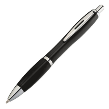 Logo trade corporate gifts image of: Plastic ballpen WLADIWOSTOCK