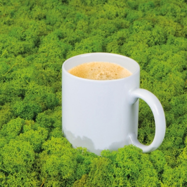Logotrade promotional merchandise picture of: Ceramic mug MONZA 300 ml