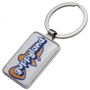 Logo trade promotional merchandise image of: Keyring FLINT