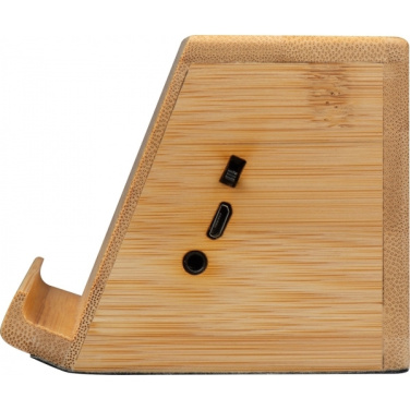 Logo trade corporate gifts image of: Induction loudspeaker NUREMBERG