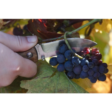 Logotrade promotional merchandise photo of: Pocket knife JUNGLE Schwarzwolf