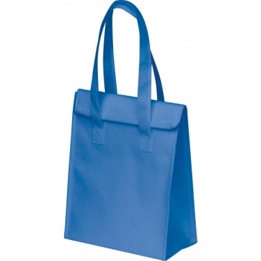 Logotrade promotional gifts photo of: Cooler Bag PLZEN