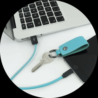 Logo trade promotional giveaways picture of: Keyring 59612900