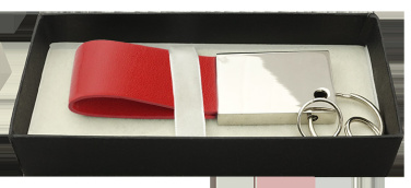 Logo trade promotional items picture of: Keyring 909119