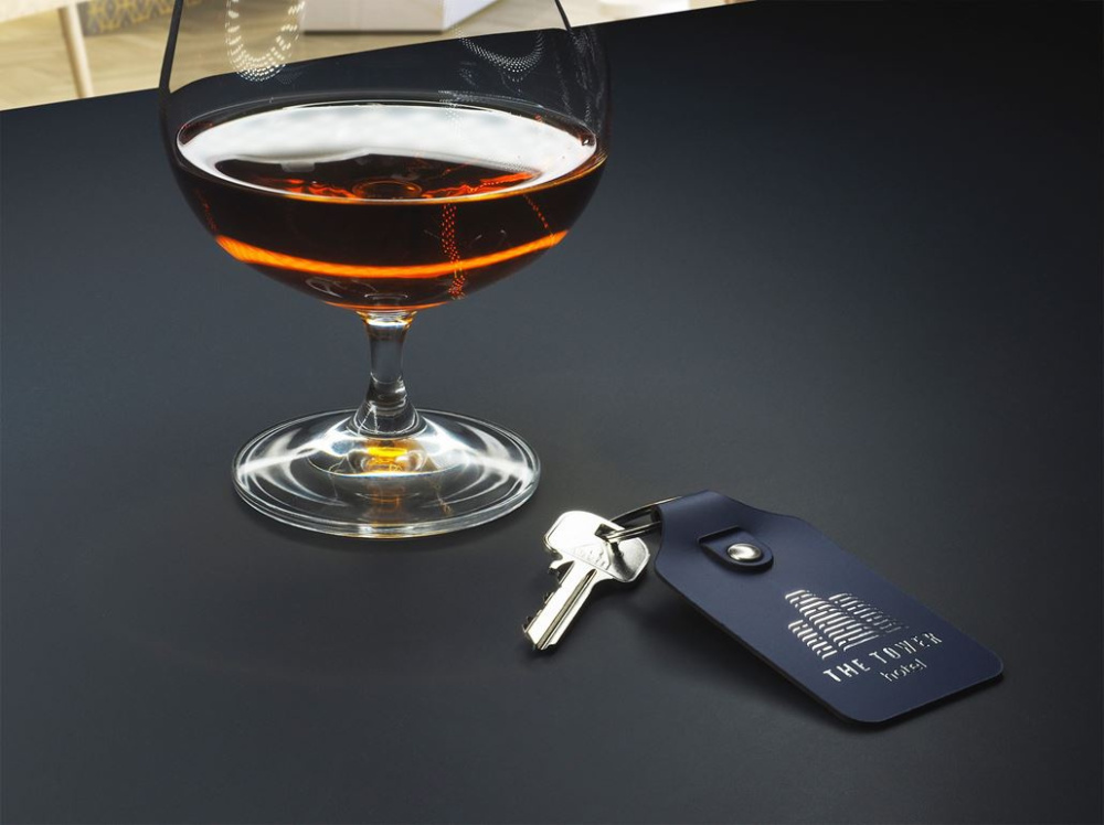 Logotrade business gifts photo of: Keyring 1200094