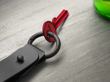 Logotrade corporate gift picture of: Keyring 1709094