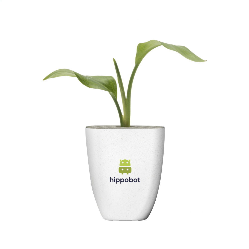 Logotrade promotional gift picture of: Treemore Letterbox Trees Bird of Paradise plant