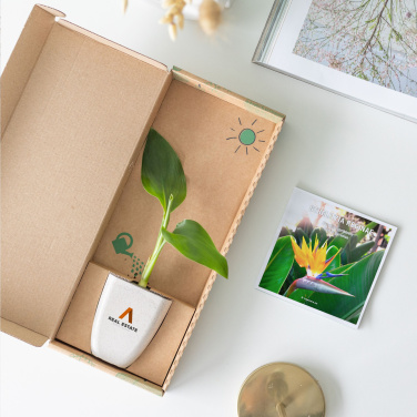 Logo trade promotional merchandise picture of: Treemore Letterbox Trees Bird of Paradise plant
