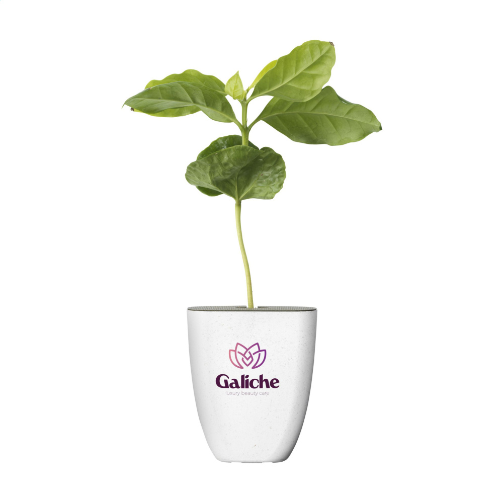 Logo trade promotional gift photo of: Treemore Letterbox Trees Coffee