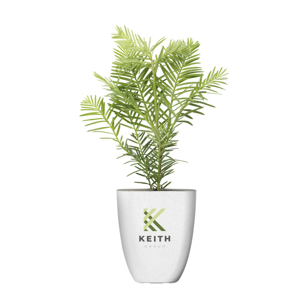 Logo trade promotional items picture of: Treemore Letterbox Trees Giant Sequoia
