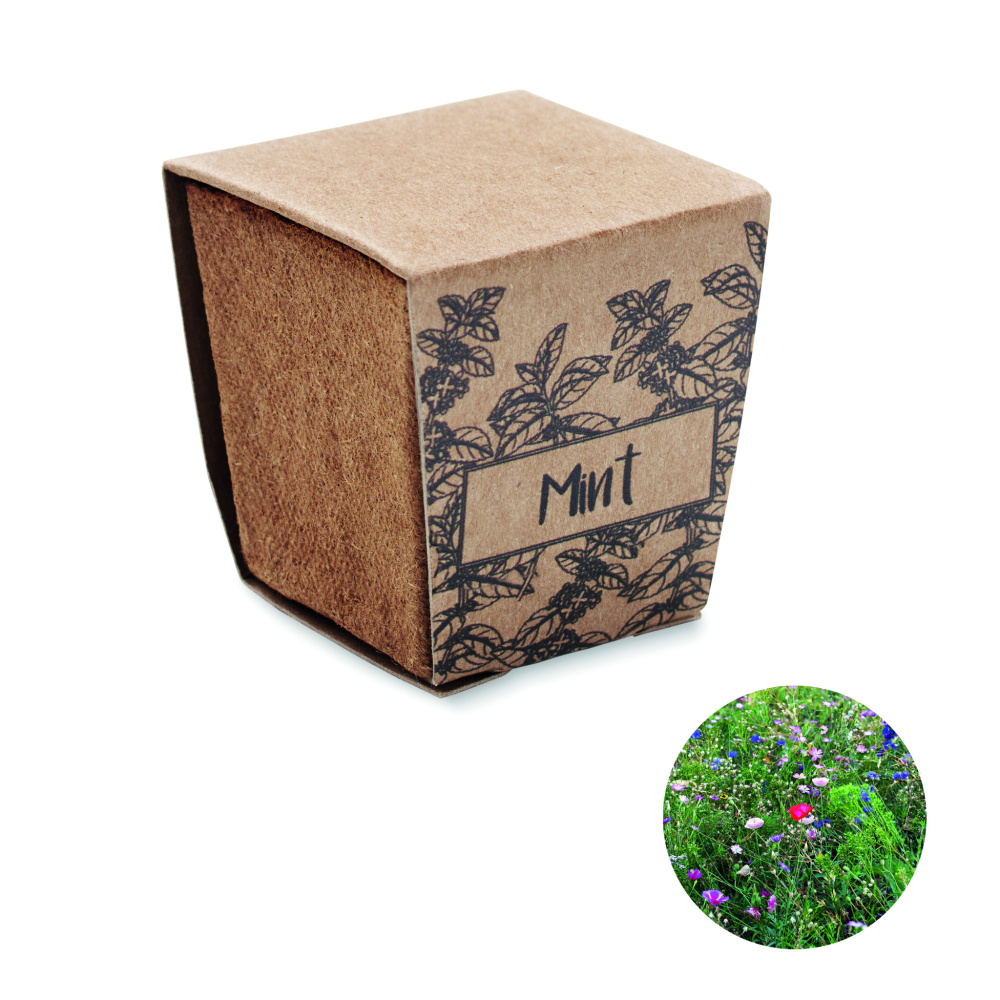 Logotrade promotional merchandise picture of: Mint seeds growing kit