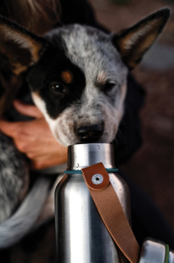 Logo trade business gifts image of: Black+Blum Insulated Water Bottle Small 500ml