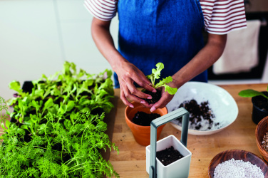 Logotrade business gift image of: Indoor garden with LED light