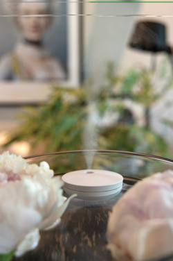 Logo trade advertising products picture of: Breevia RCS rplasic re-chargeable floating humidifier