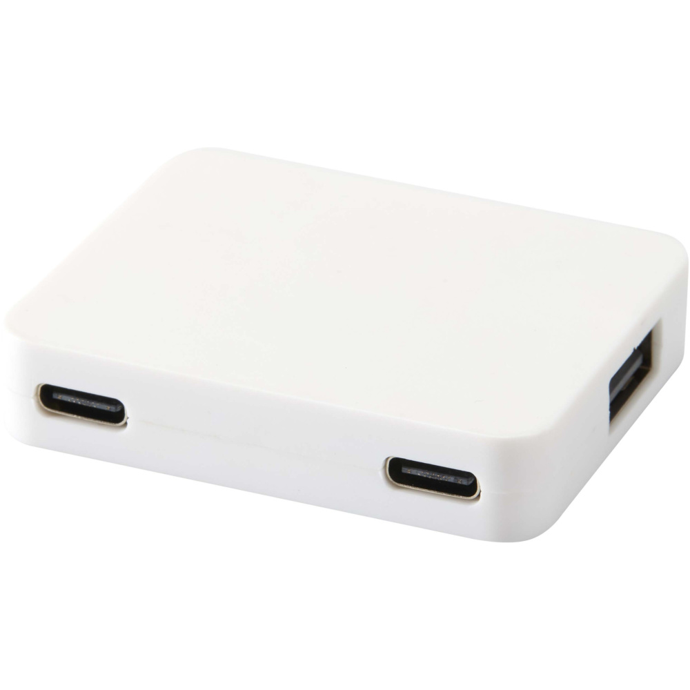 Logo trade promotional items picture of: Gaia 4-port USB hub with USB-A and Type-C output and dual input - made from recycled plastic