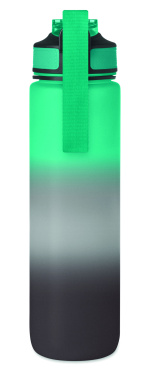 Logotrade promotional giveaway image of: Sports water bottle RPET 1L