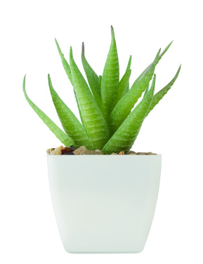 Logotrade corporate gifts photo of: Mini artificial plant