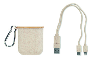 Logo trade promotional gifts image of: Cable set in case