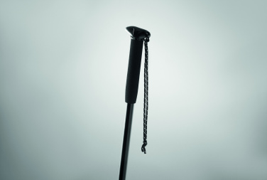 Logo trade promotional gift photo of: Telescopic walking pole