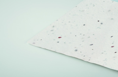 Logotrade advertising product picture of: Wildflower seed business card.