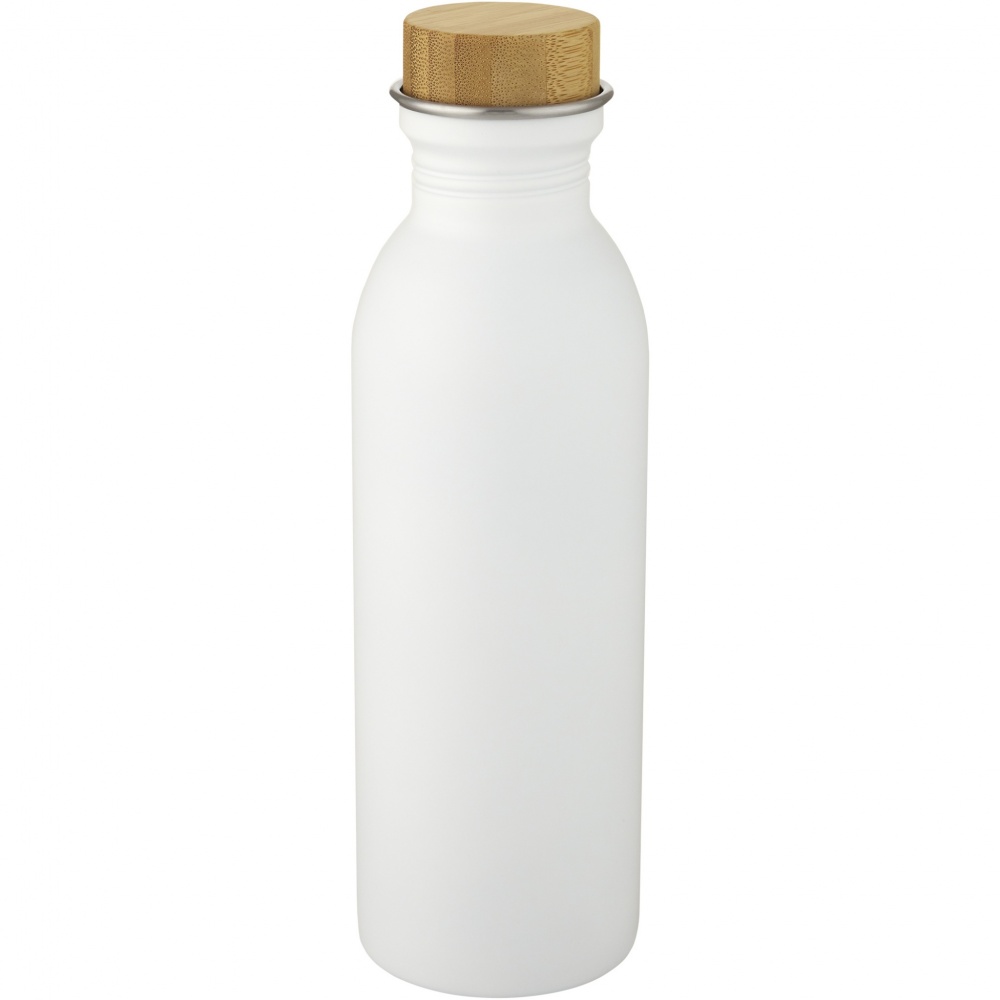 Logotrade ärikingituse foto: Kalix 650 ml roostevabast terasest veepudel