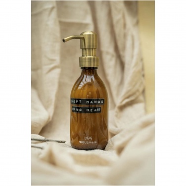 Logotrade ärikingituse foto: Wellmark Soft Hands 250 ml kätevedeliku dosaator
