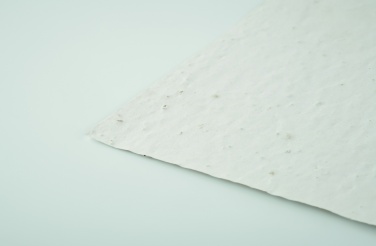 Logotrade firmakingitused pilt: A5 metsalilleseemne paberileht