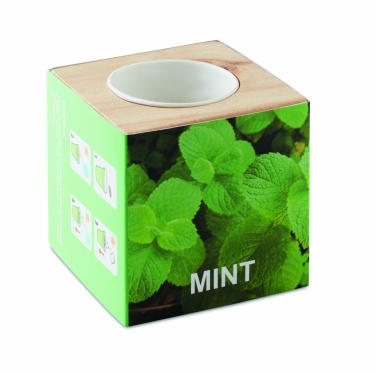 Logotrade firmakingituse foto: Ürdipott "MINT"