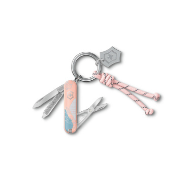 Logo trade meened foto: Victorinox taskunuga Classic SD, 58 mm, Celidor, Paris Style